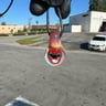 Small image 1