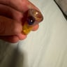 Small image 2