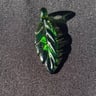 Small image 0