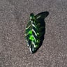Small image 2