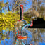 Small image 7