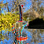 Small image 8