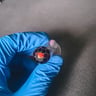 Small image 2