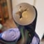 Small image 7