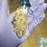 Small image 4