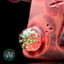 Small image 6