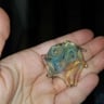Small image 2