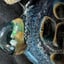 Small image 7