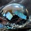 Small image 8
