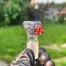 Small image 5