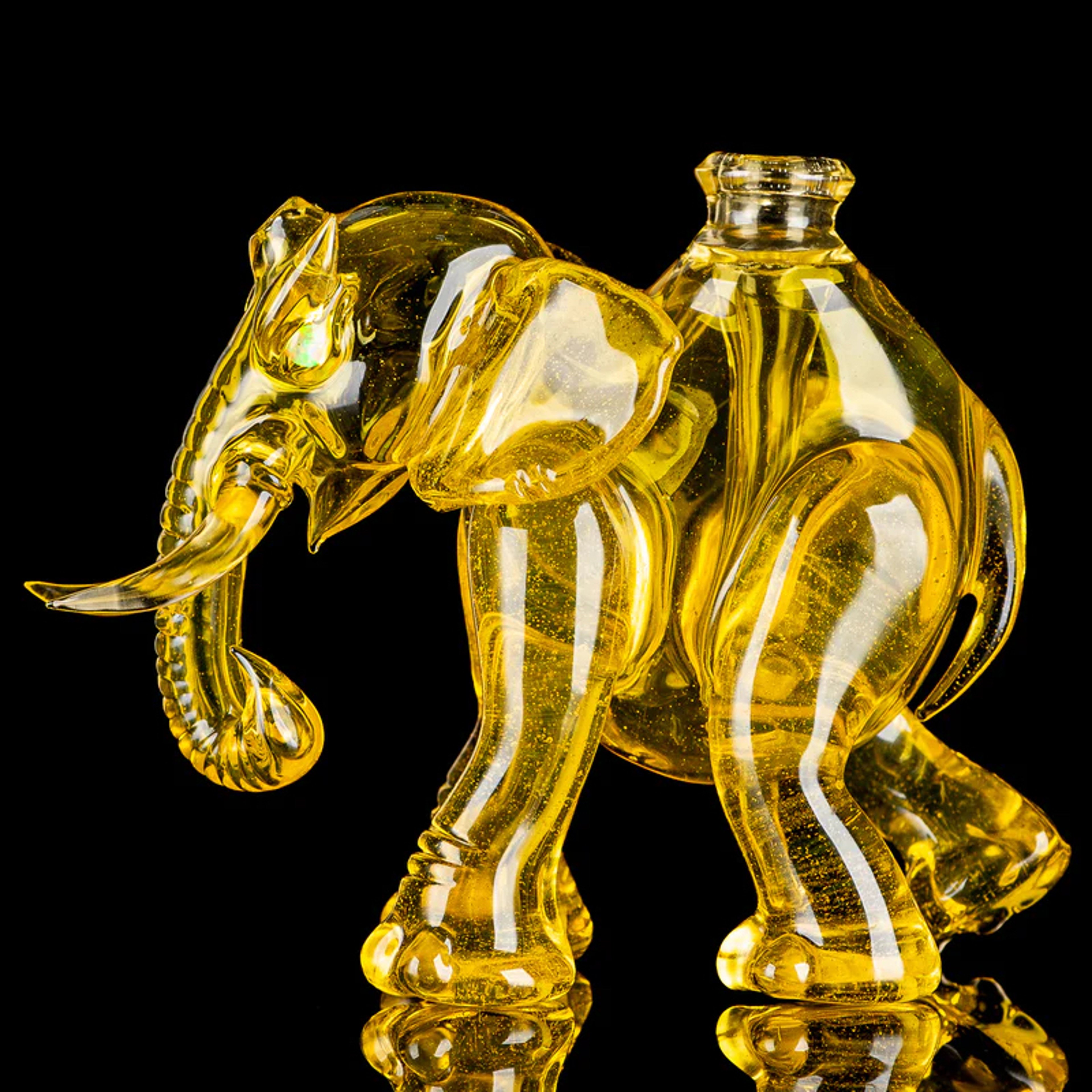 Preview pic of Terps Elephant Rig by Mike Luna