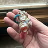Small image 4