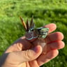 Small image 0