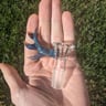 Small image 0