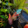 Small image 4