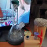 Small image 0