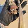 Small image 3