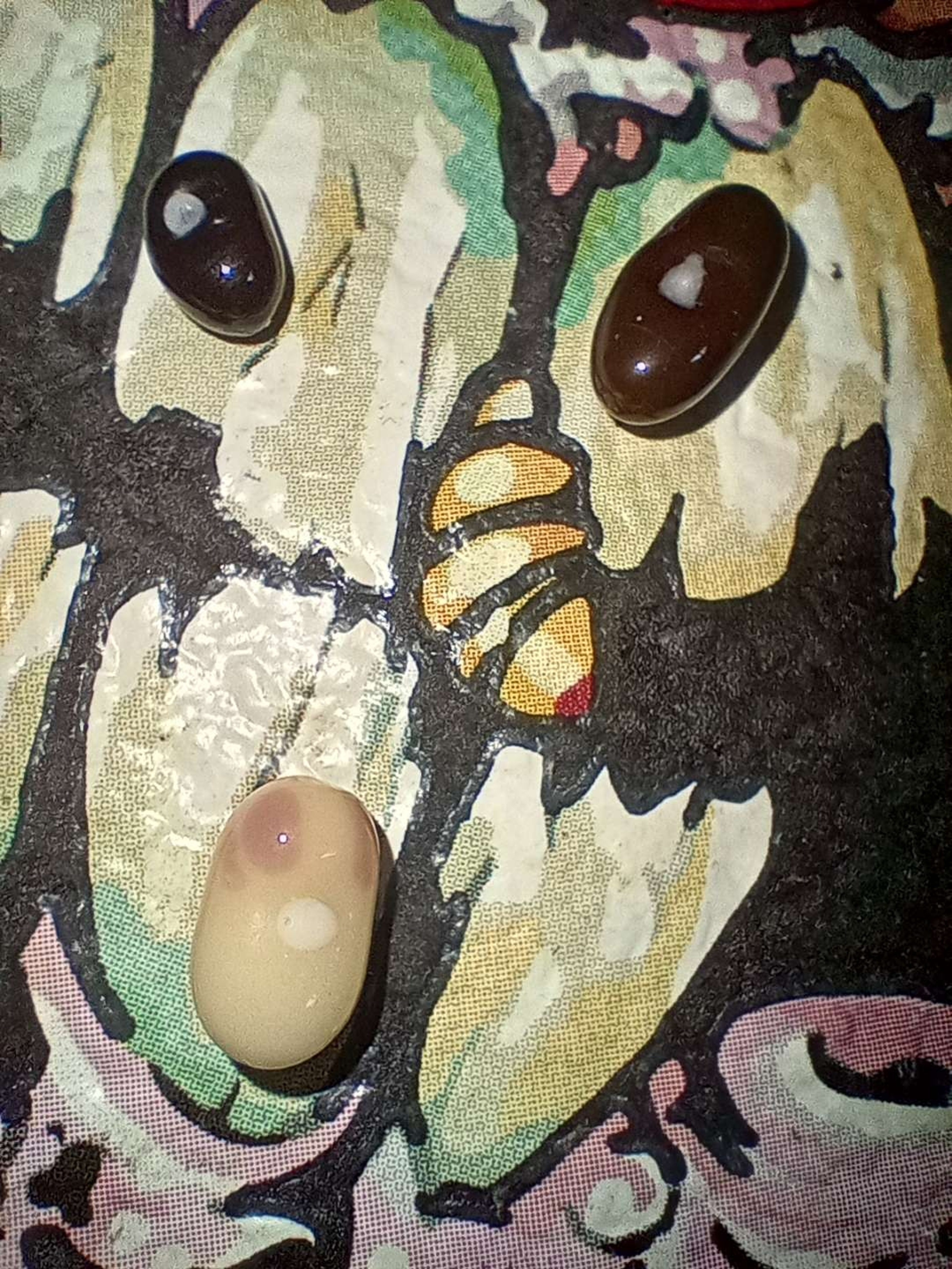 Beans image 0