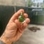 Small image 1