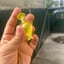 Small image 5