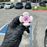 Small image 1