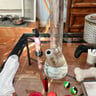 Small image 0