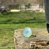 Small image 4