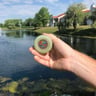 Small image 4