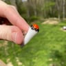 Small image 4