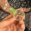 Small image 7