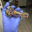Small image 1