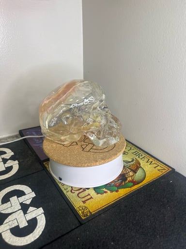 Preview pic of Snodgrass Skull