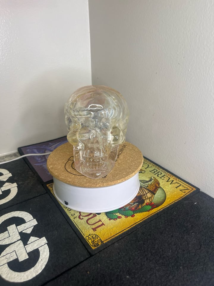 レア！Bob Snodgrass ボブ•スノッドグラス　スカルペンダント レア！Bob Snodgrass ボブ•スノッドグラス スカルペンダント レア！Bob