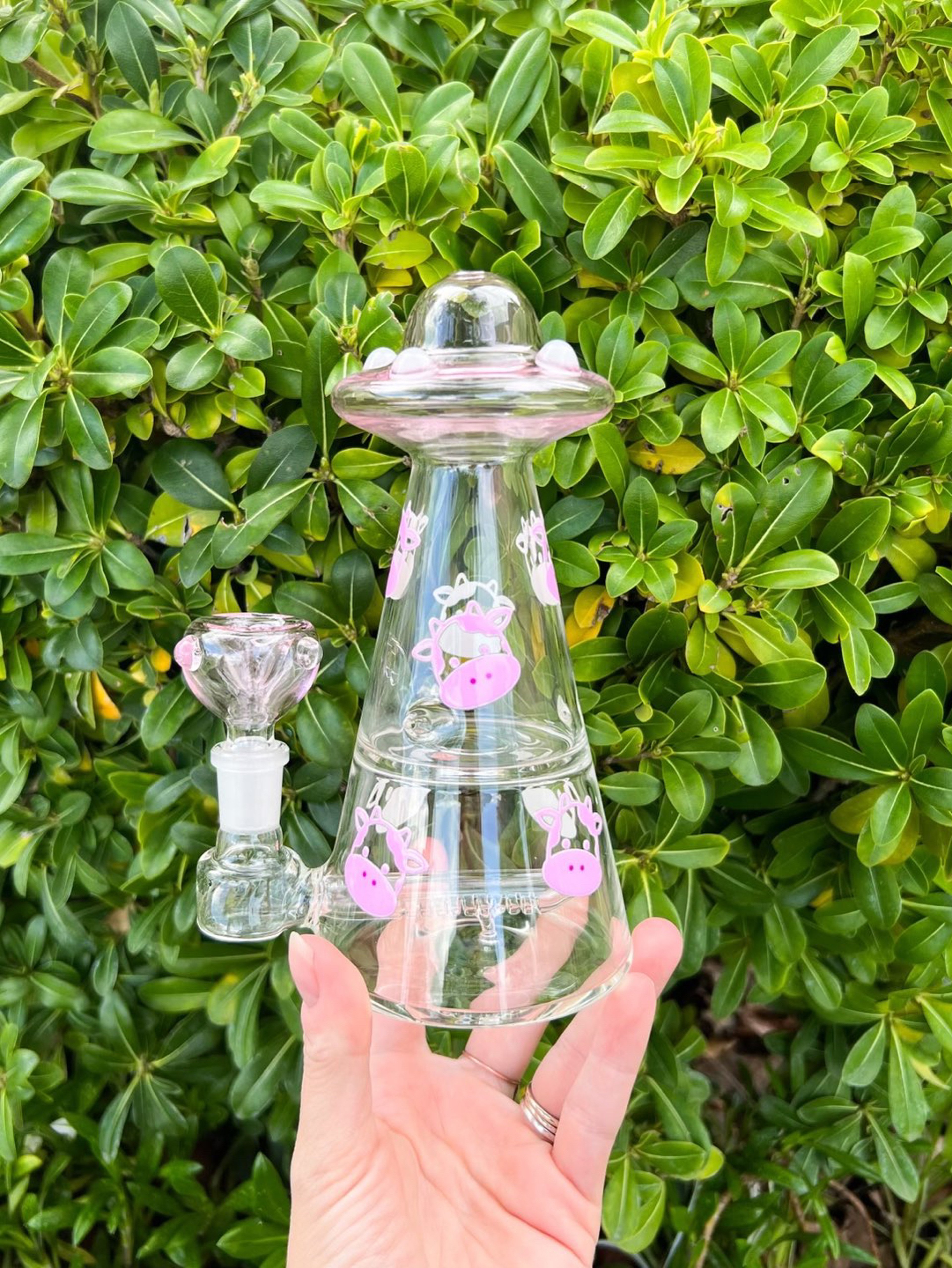 Preview pic of Pink Cow Abduction Spaceship Rig