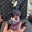 Small image 4