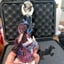 Small image 6