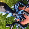 Small image 0