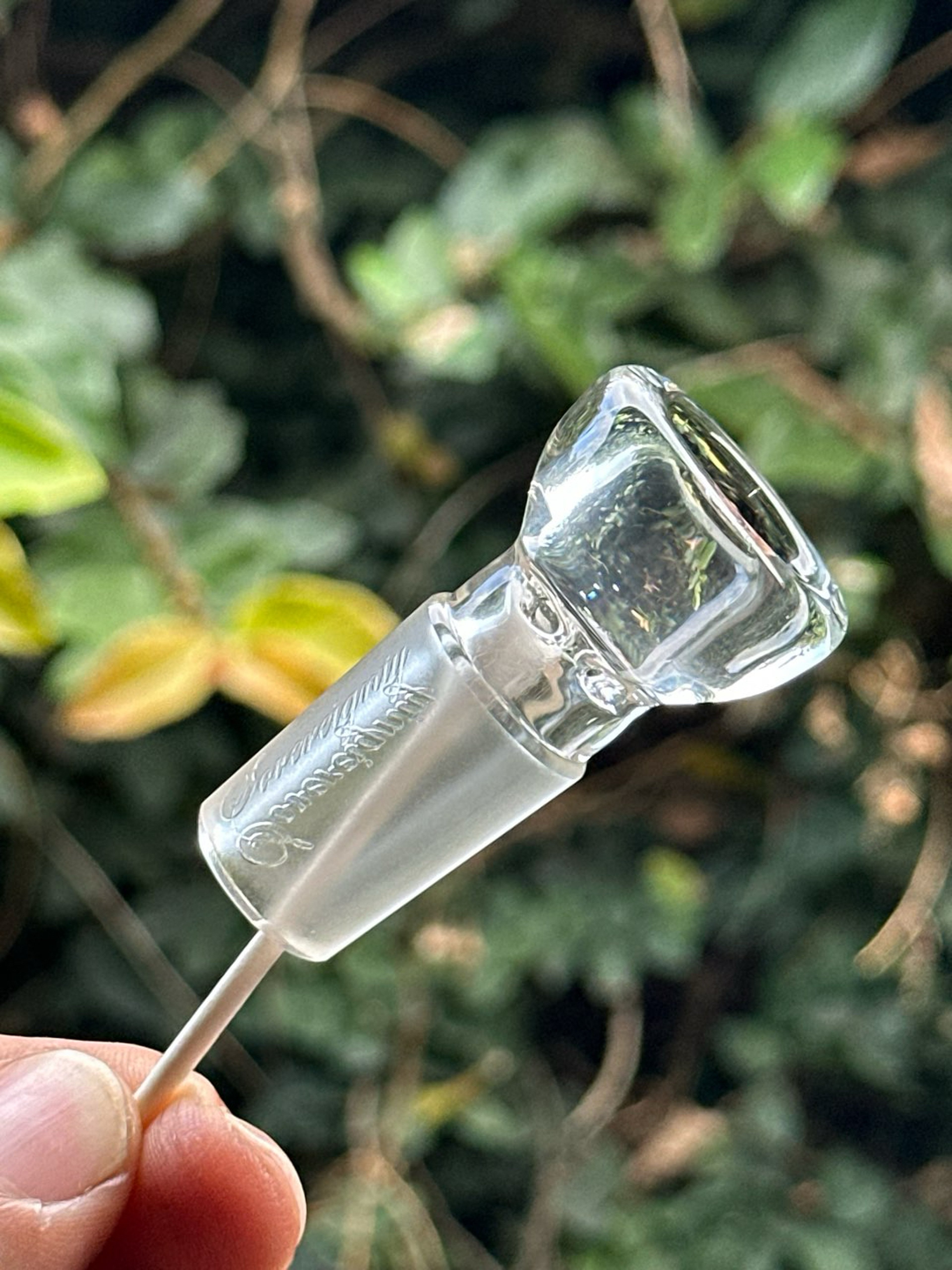 Preview pic of Hornless Sovereignty Slide - Clear