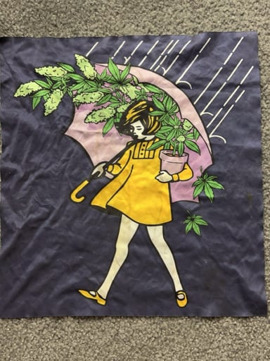 Preview pic of Slinger rag