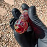 Small image 4