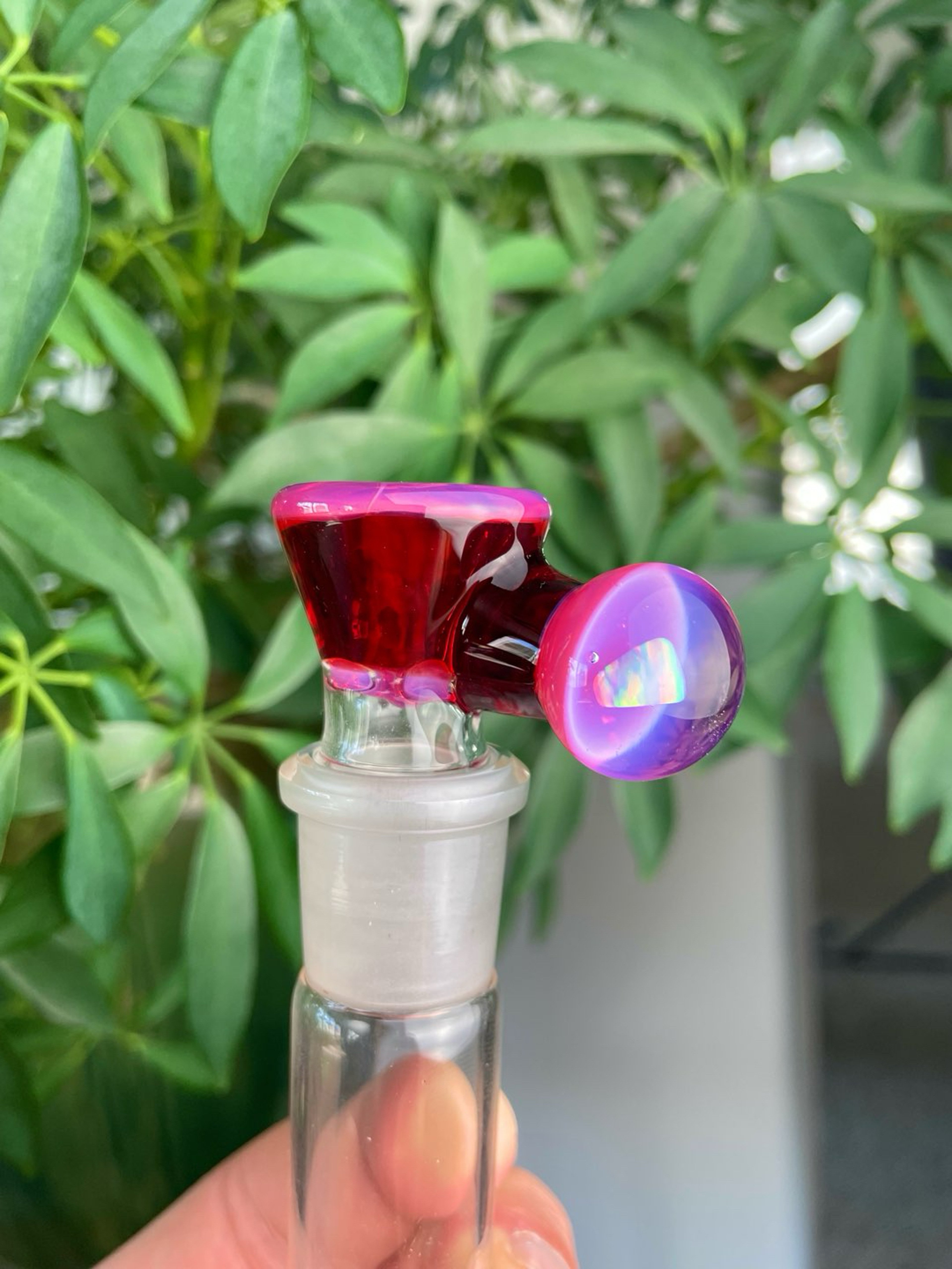 Preview pic of Karmaline x Pomegranate 18mm Slide