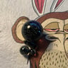 Small image 3