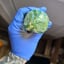 Small image 6