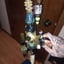 Small image 5