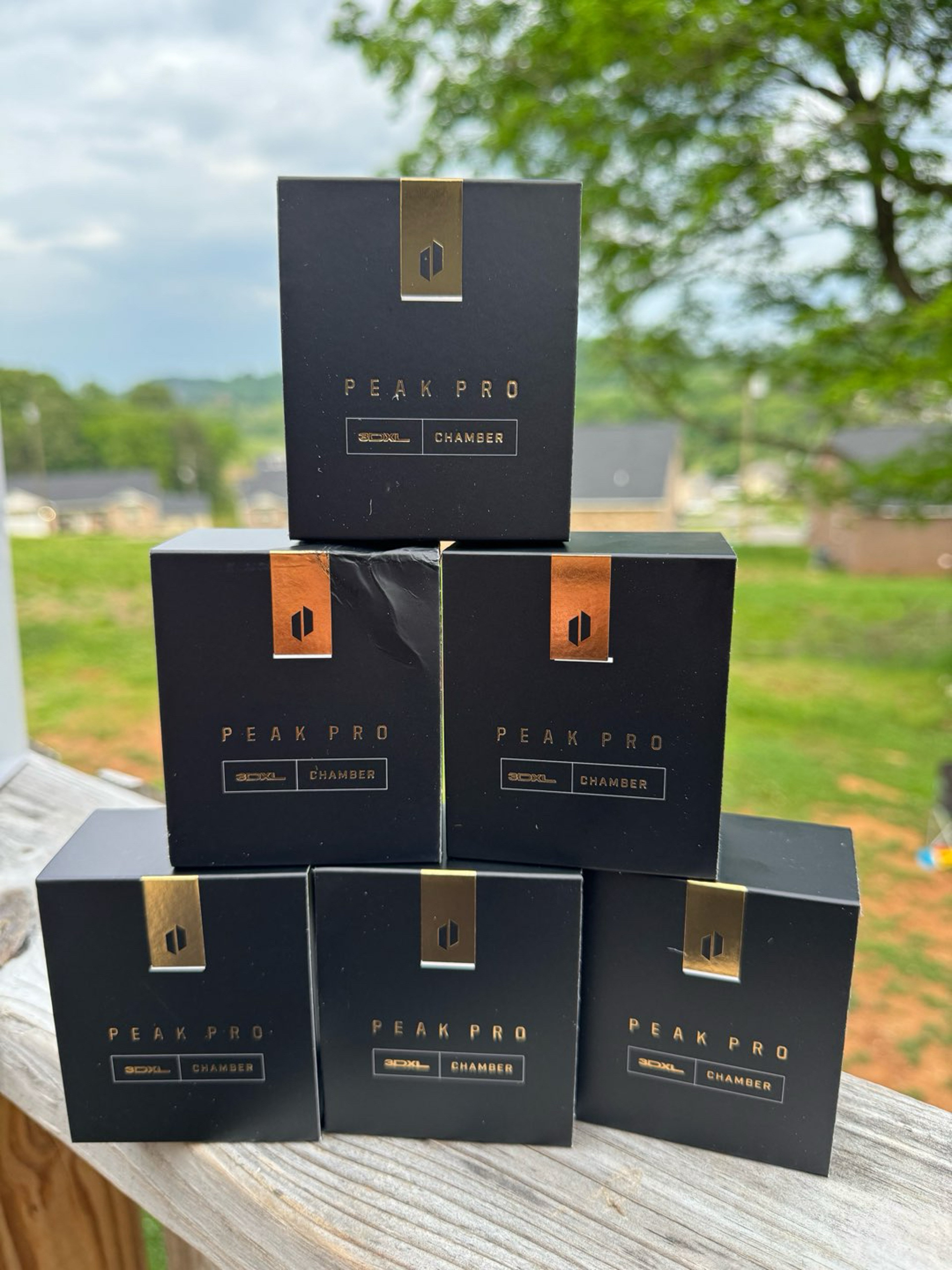 Preview pic of 3DXL NEW GOLD CHAMBER