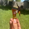 Small image 0