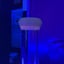 Small image 6