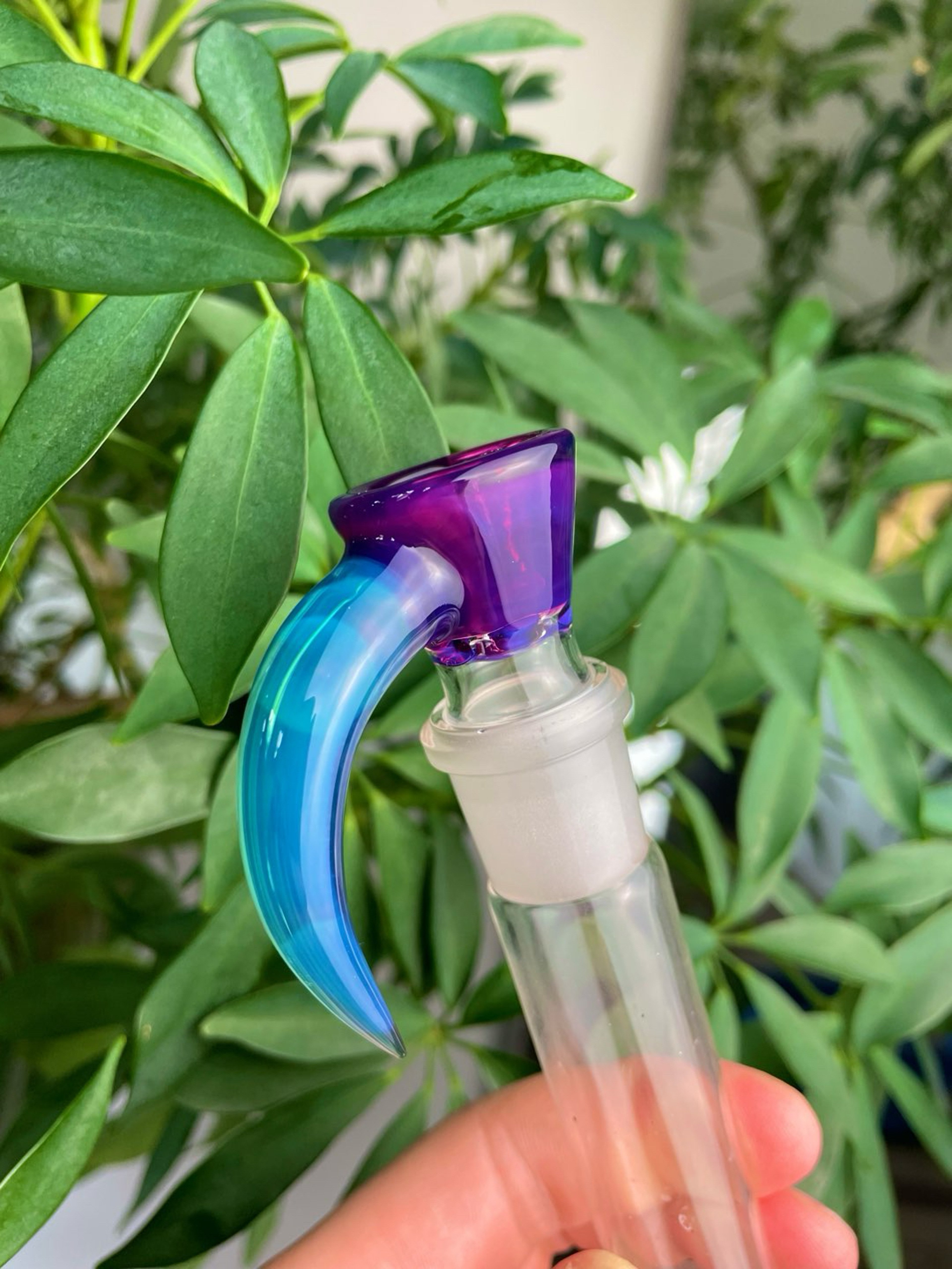 Preview pic of 18mm Royal Jelly and Meta Terrania