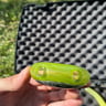 Small image 3
