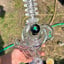 Small image 9
